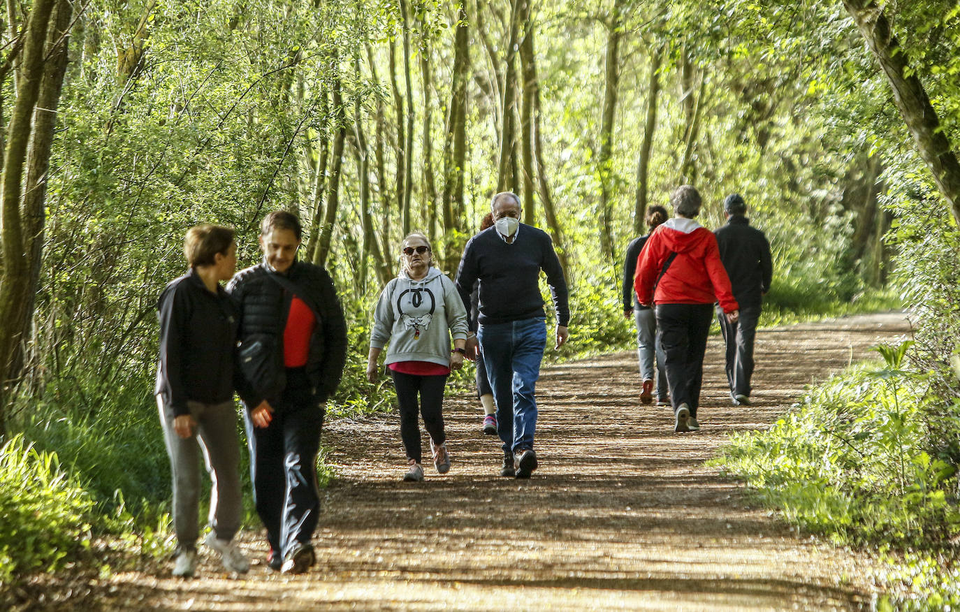 Fotos: Paseos y deporte al sol en Vitoria en el primer primer domingo de desescalada