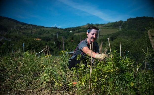 Rosa Olivares se ha encontrado el huerto «destrozado». Durante el confinamiento ha puesto semilleros en casa por primera vez. 