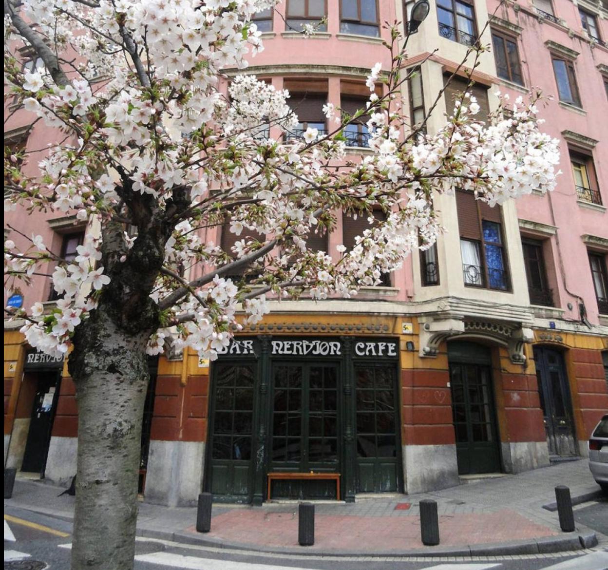 Café Nervión, tradición y modernidad