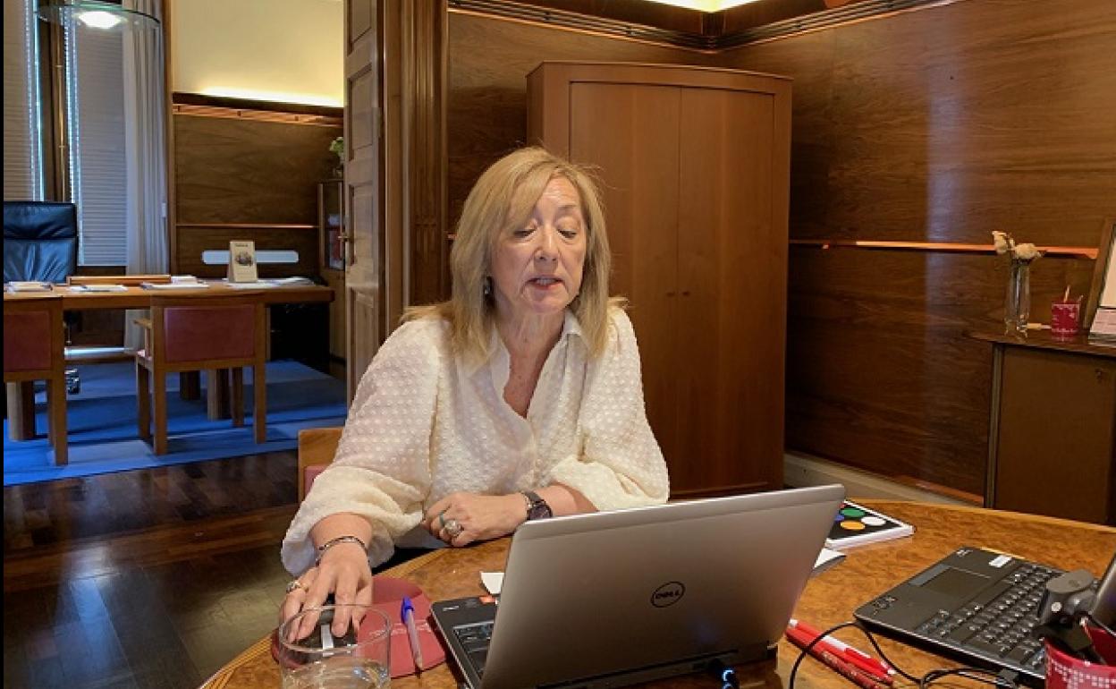 La teniente de diputado general PIlar García de Salazar, durante su intervención telemática ante las Juntas Generales.