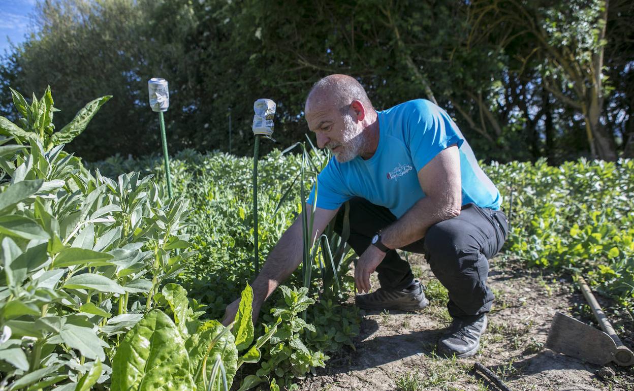 El alcalde de Alegría va recuperando la huerta mientras sueña con volver al monte y reunirse con sus vecinos.. 