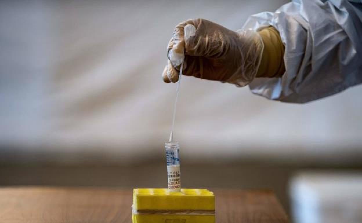 Pruebas PCR con sólo 24 horas de síntomas, llamadas de control y mapeos son las claves del plan de vigilancia