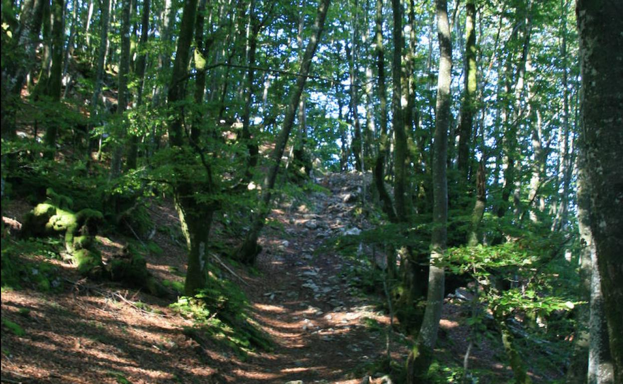 EL CORREO te descubre senderos para la desescalada