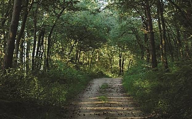 Colada de Peña Betoño