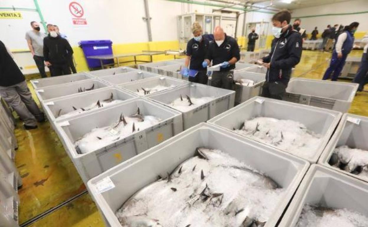 Subasta celebrada en Avilés.