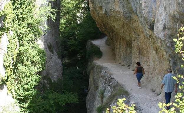 Desfiladero del río Purón.