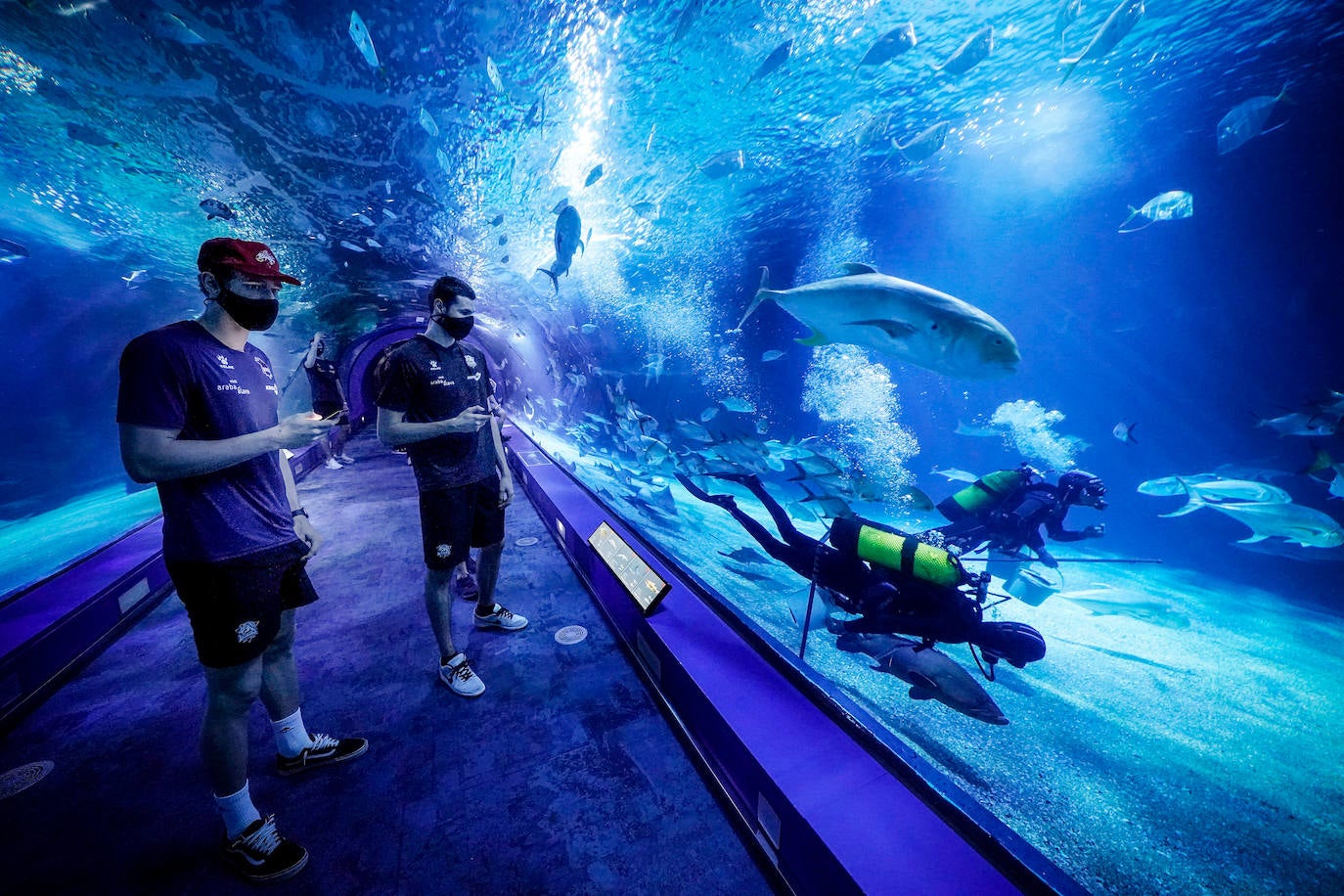 Fotos: El Baskonia visita el Oceanogràfic de Valencia