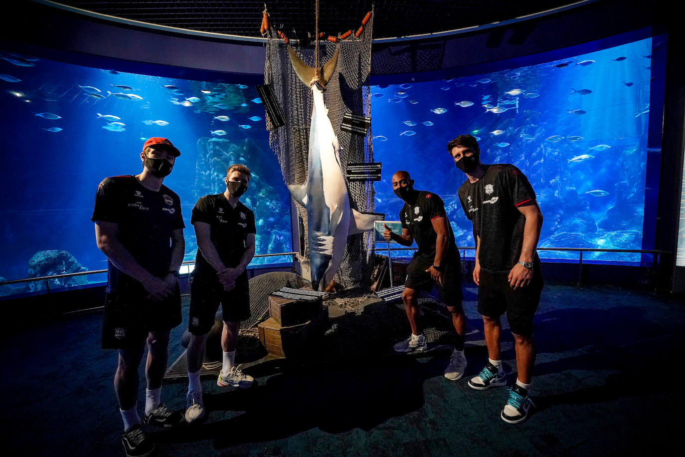 Fotos: El Baskonia visita el Oceanogràfic de Valencia