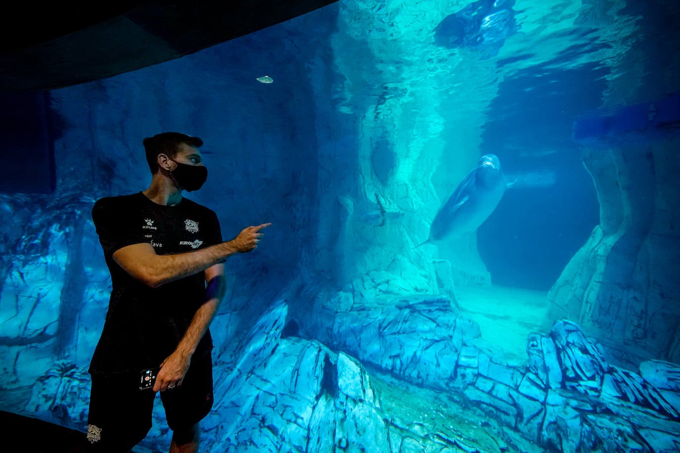 Fotos: El Baskonia visita el Oceanogràfic de Valencia