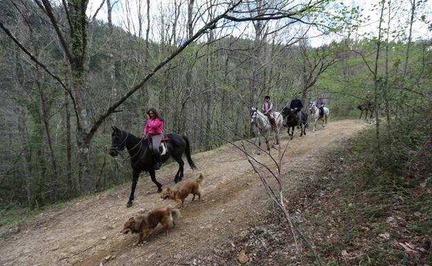 Paseo a cab allo por el Valle de Villaverde. 