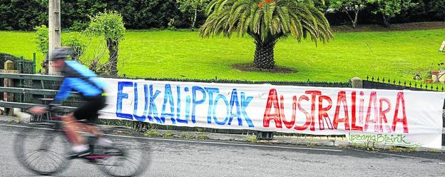 Pancarta de lezama Bizirik en contra del eucalipto.