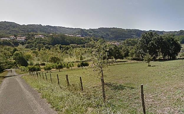 Los árboles y las campas jalonan Ola bidea.