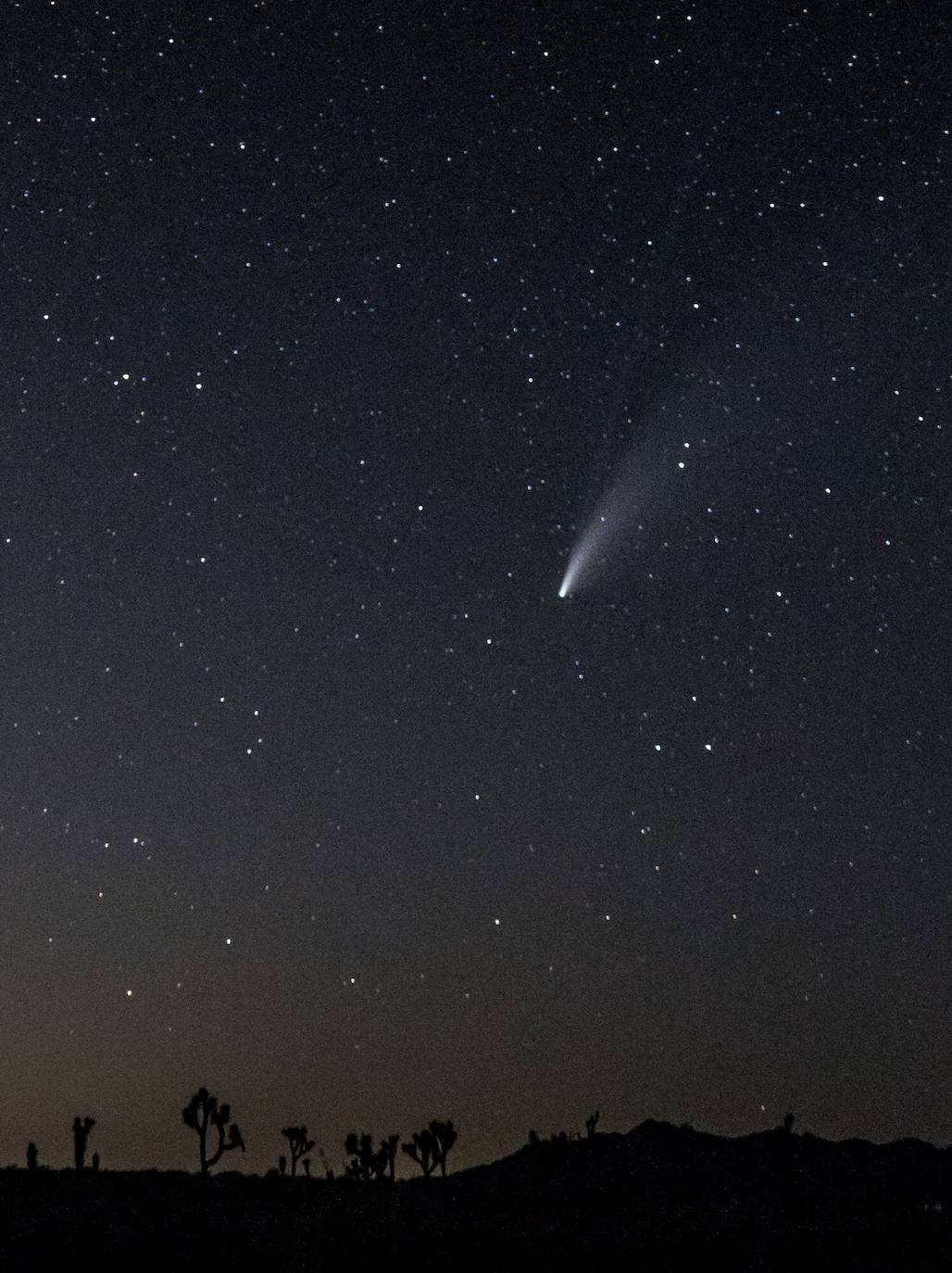 Fotos: El paso del cometa Neowise desde la Tierra, algo que no ocurría hace más de 20 años