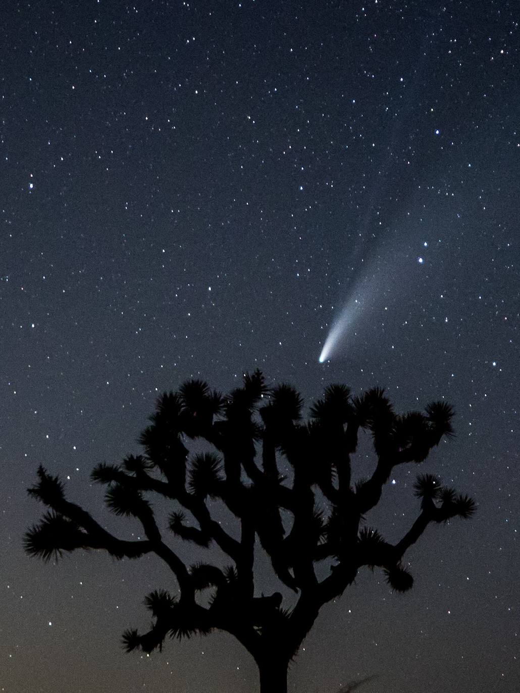 Fotos: El paso del cometa Neowise desde la Tierra, algo que no ocurría hace más de 20 años