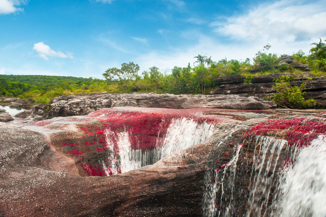 7.- Caño Cristales (Colombia) | Ubicado en la sierra de la Macarena, esta belleza de la naturaleza es conocida con muchos nombres como 'el río de los dioses', 'el río de los siete colores', 'el arco iris que se derritió' e incluso 'el río más hermoso del mundo'. En su fondo se reproducen plantas acuáticas que con la exposición al sol cambian sus colores en un proceso que va desde el verde hasta un rojo intenso. 