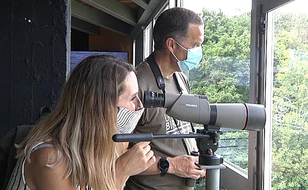 Un observatorio de aves sobre la marisma de Urdaibai