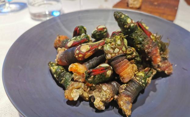 Percebes,