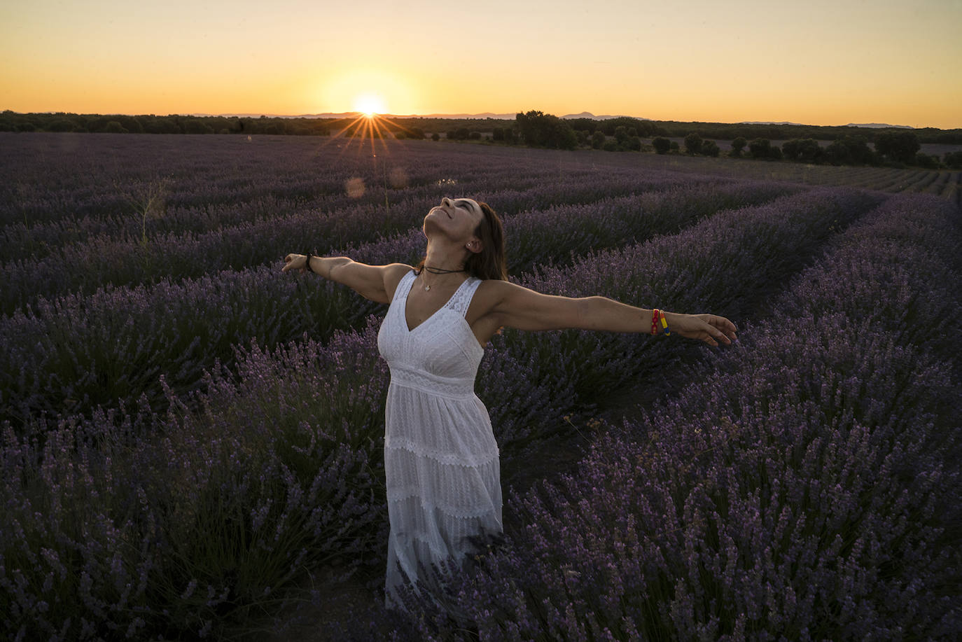 Fotos: Un paseo por los campos de lavanda