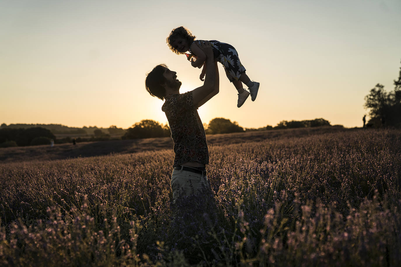 Fotos: Un paseo por los campos de lavanda