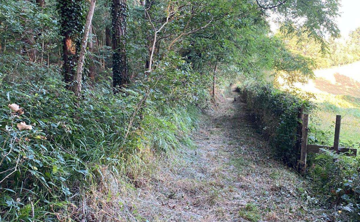 La nueva ruta en Abadiño discurre junto a las viejas trincheras de la guerra carlista. 