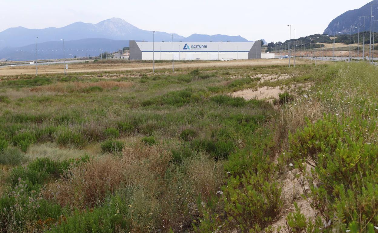 SEUR instalará 7.000 m2 de placas en la cubierta de su futuro centro logístico