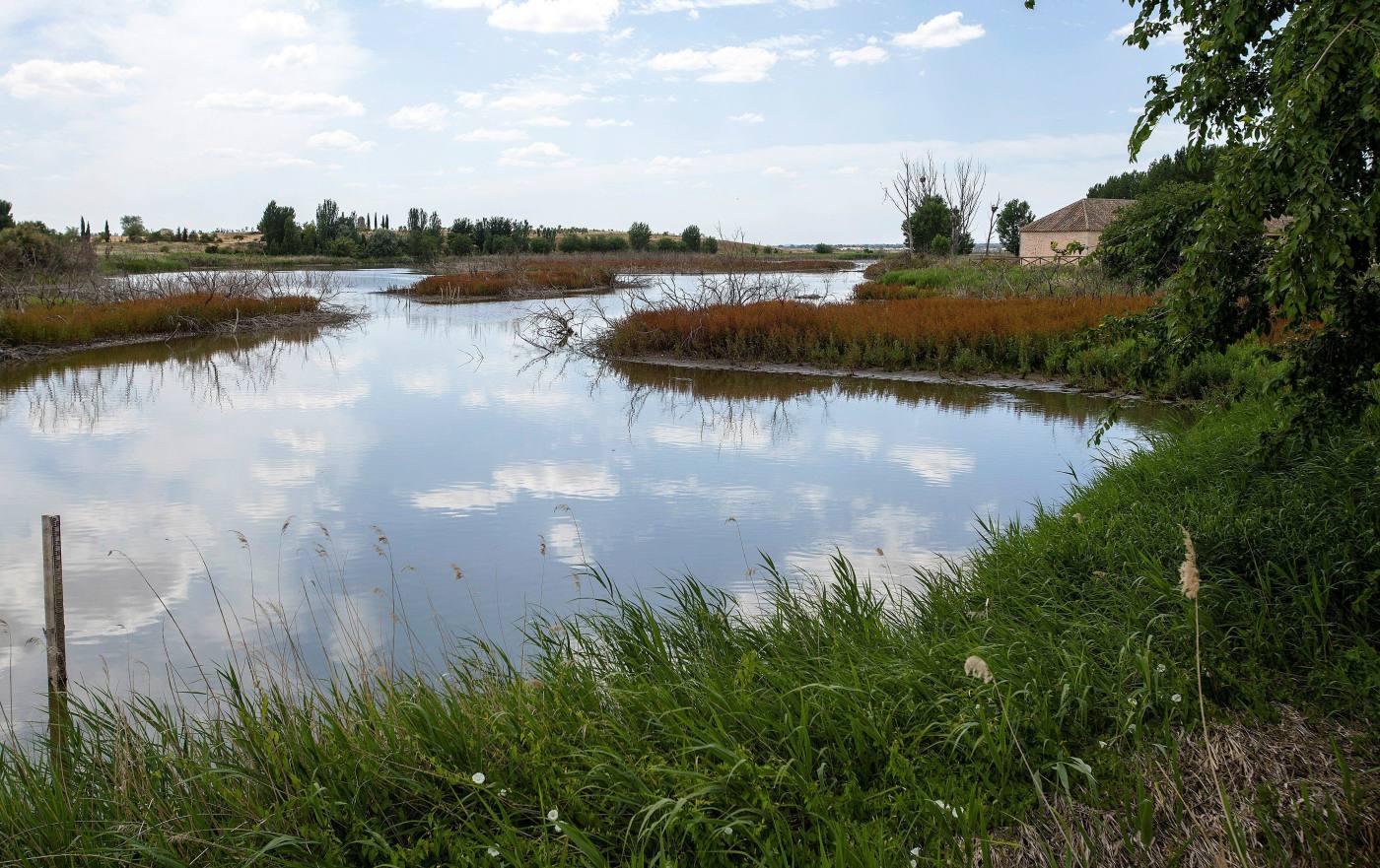 Tablas de Daimiel, Ciudad Real