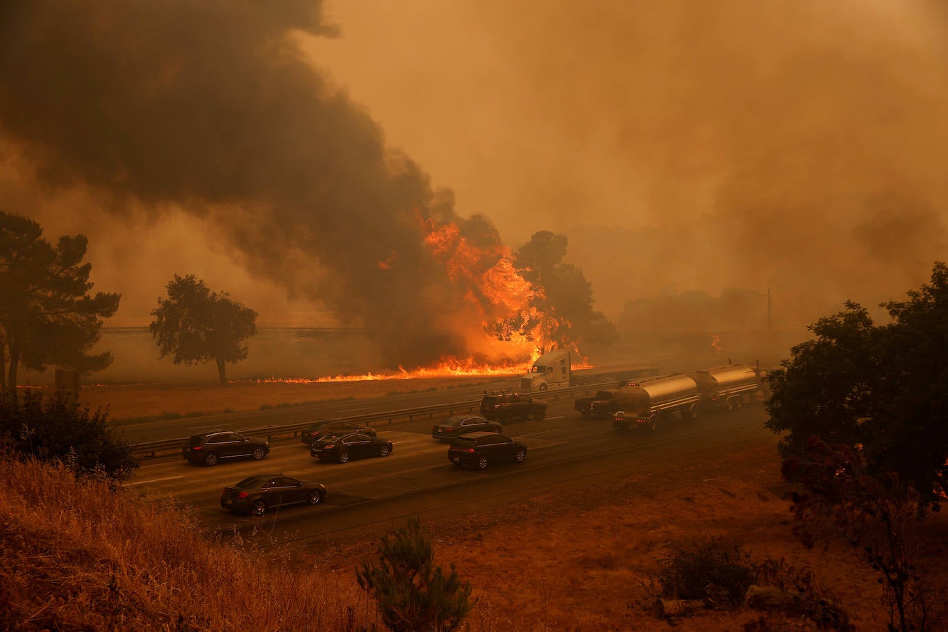 Fotos: El fuego arrasa más de 400.000 hectáreas en California