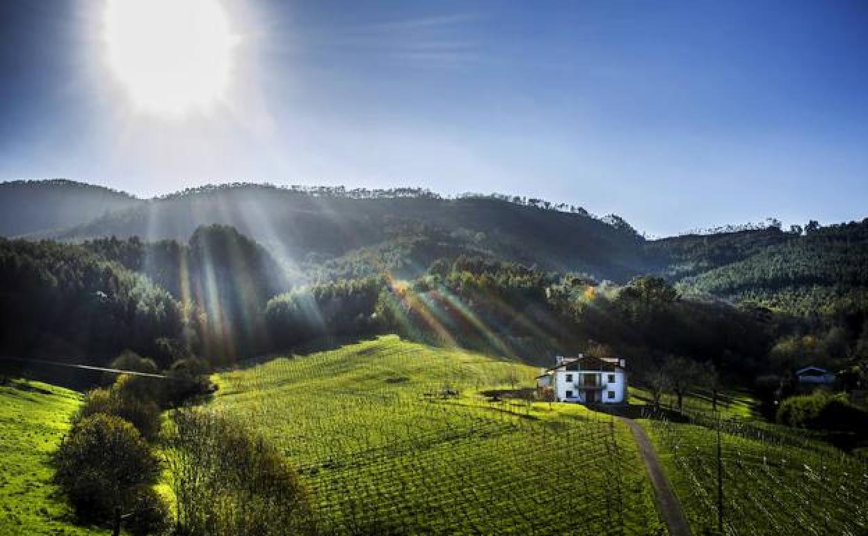 Aviso por una fiesta ilegal en el monte Jata de Bakio