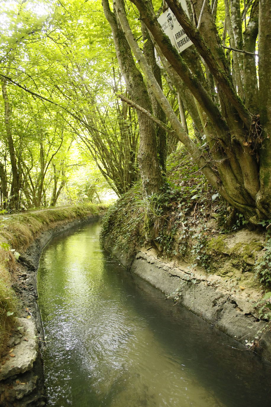 Ruta del agua de Berganzo (Álava)