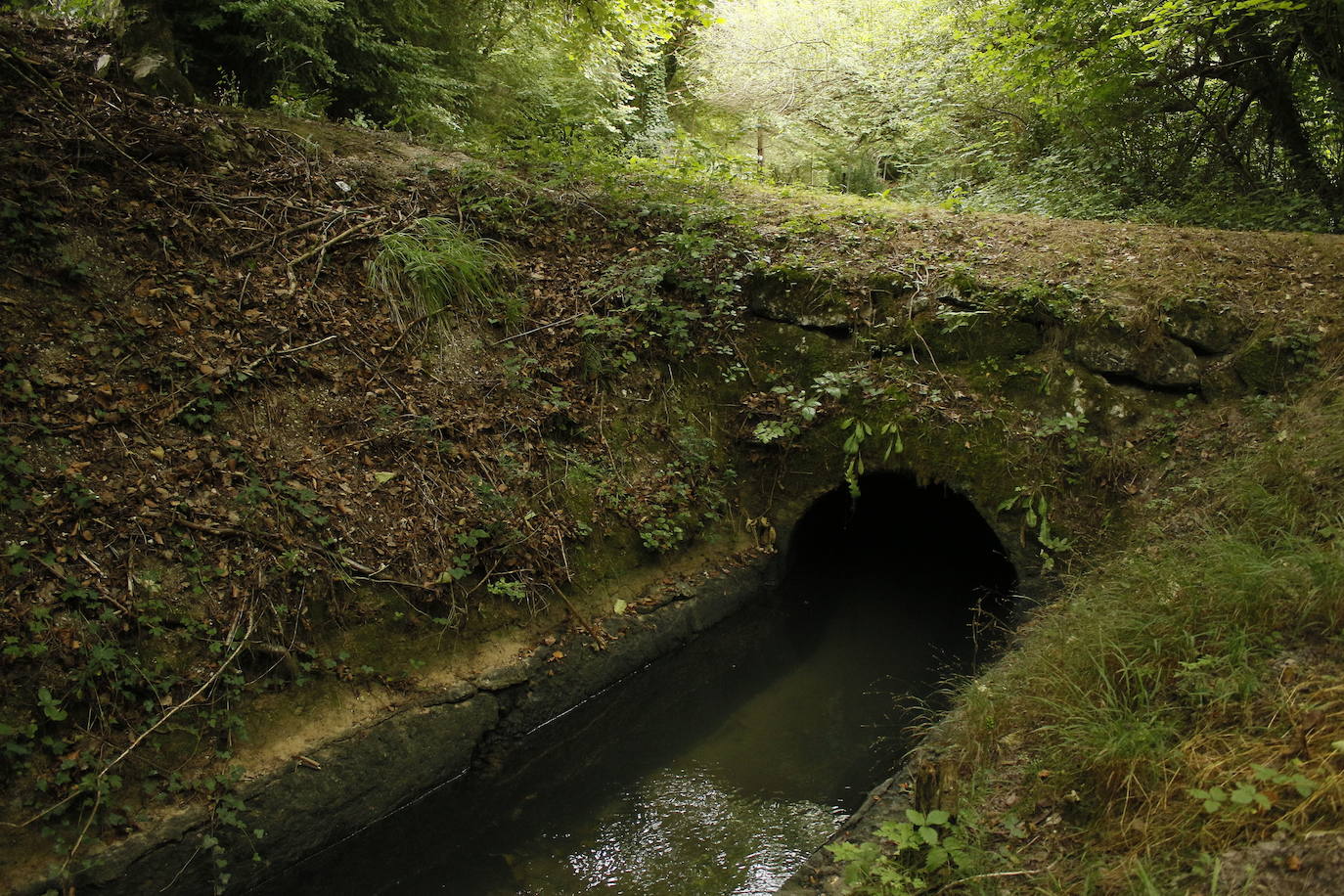 Ruta del agua de Berganzo (Álava)