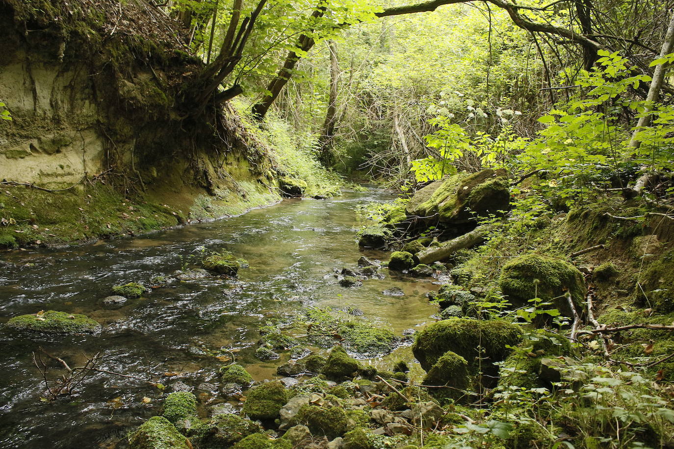 Ruta del agua de Berganzo (Álava)
