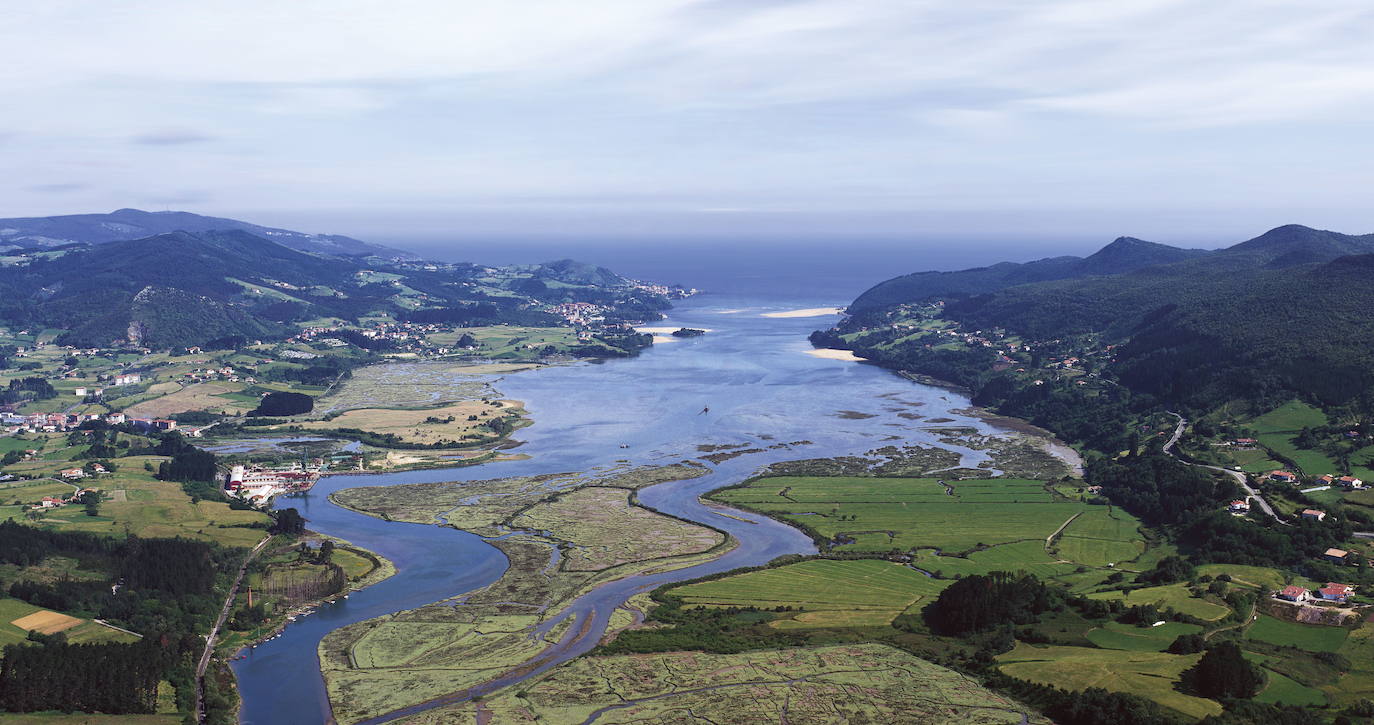 Ruta por las marismas de Urdaibai (Bizkaia)