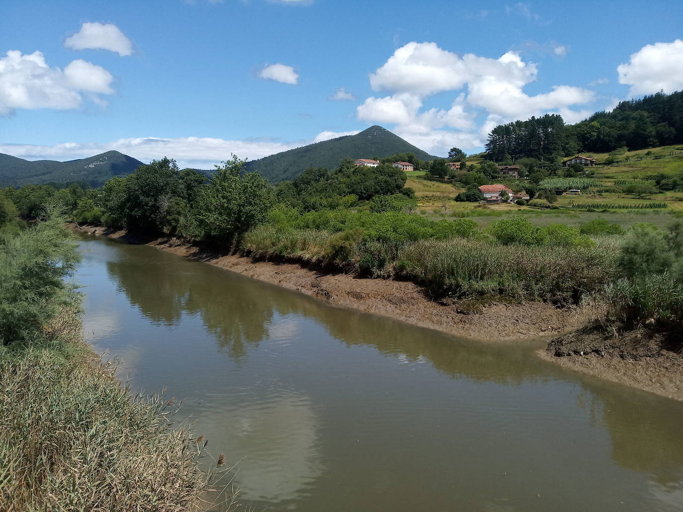 Ruta por las marismas de Urdaibai (Bizkaia)