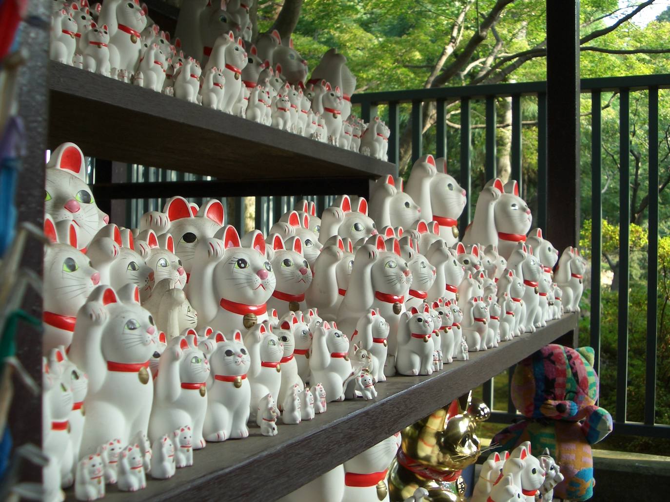 Cuenta la leyenda que un señor feudal pasó por un templo en Edo (la actual Tokio) y se encontró con un gato que, con la pata, le invitó a entrar dentro. El hombre accedió y decidió seguir al gato y, poco después, llegó una fuerte tormenta. Agradecido por el gato, ya que gracias a él pudo refugiarse en el templo durante la tormenta, decidió hacerse con el templo y reconstruirlo. A raíz de esto, la gente empezó a llevar figuras de gatos cuando se cumplían sus deseos.