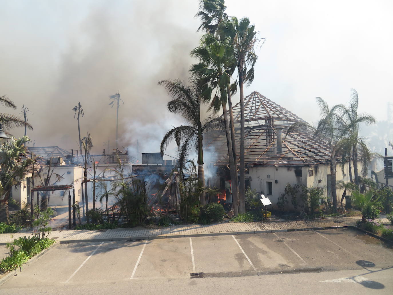 Fotos: Incendio forestal en Estepona