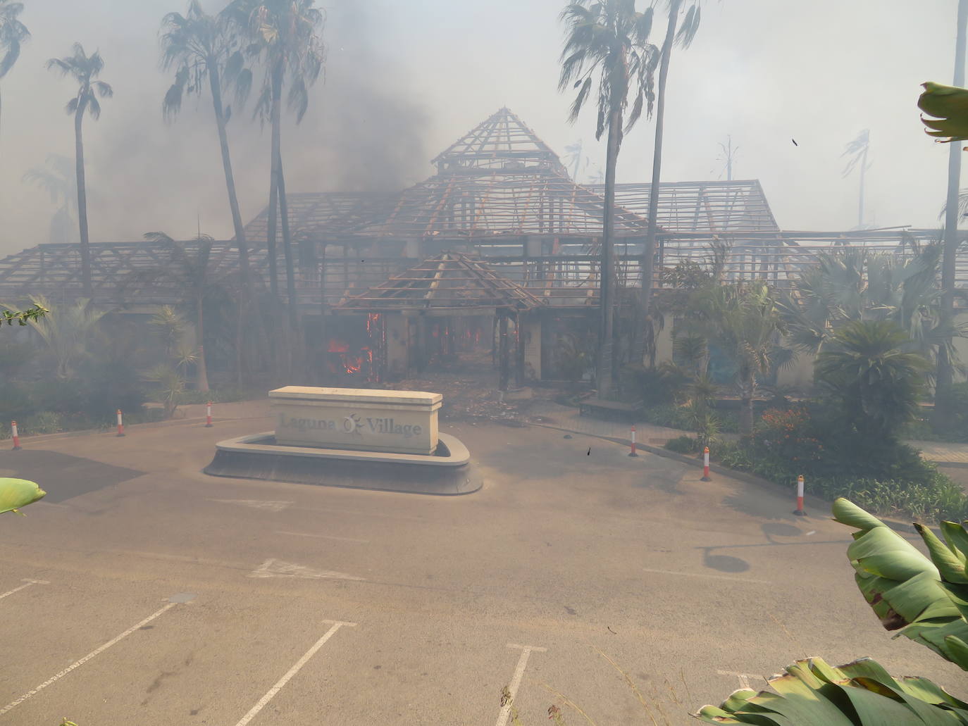 Fotos: Incendio forestal en Estepona