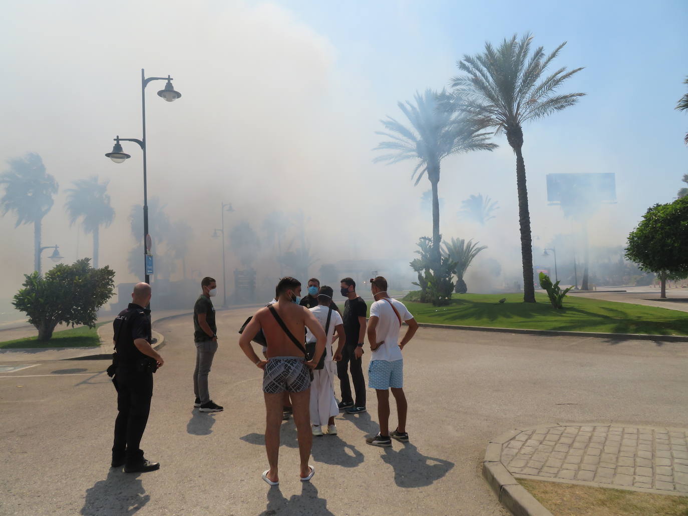 Fotos: Incendio forestal en Estepona