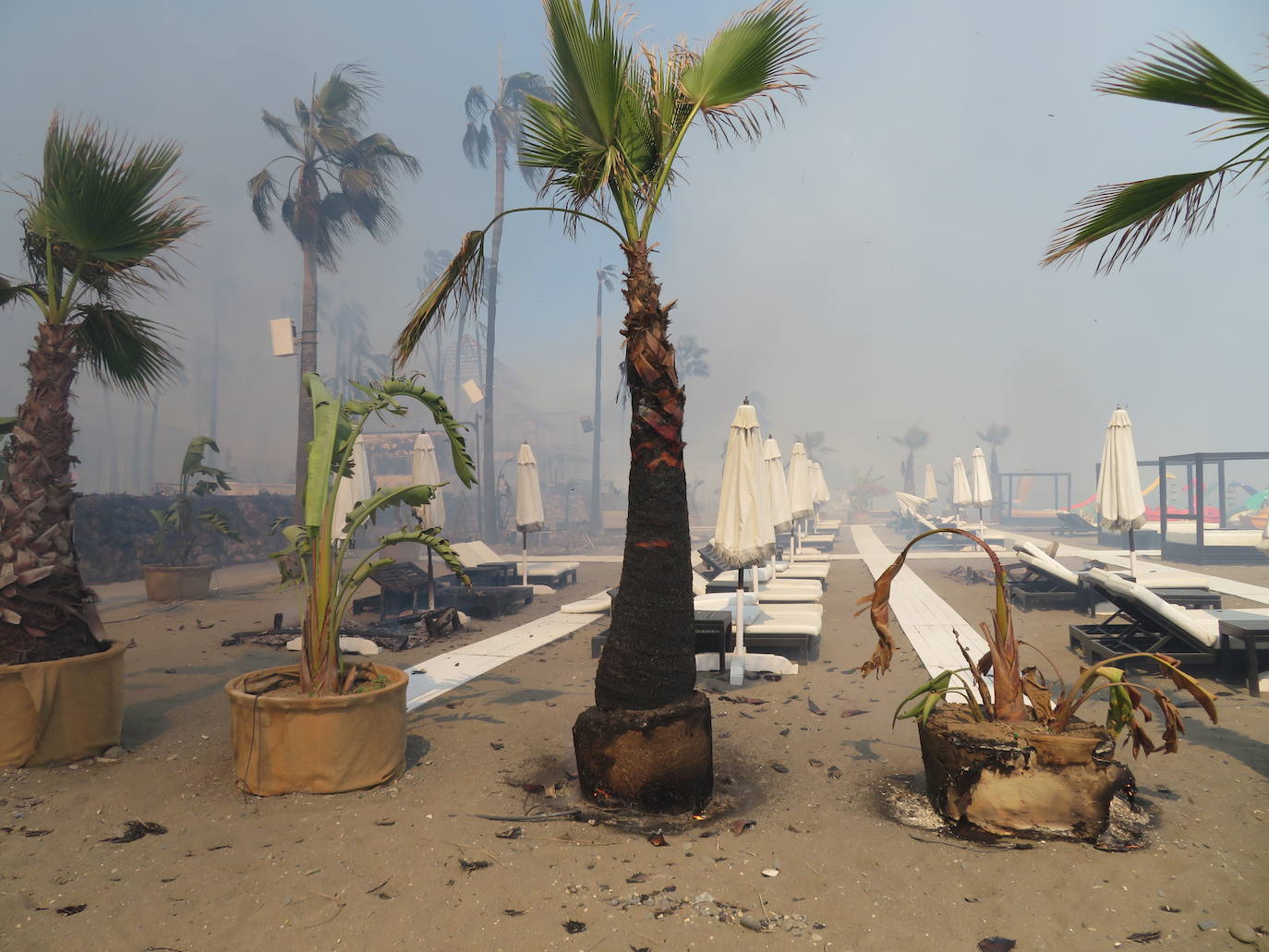 Fotos: Incendio forestal en Estepona