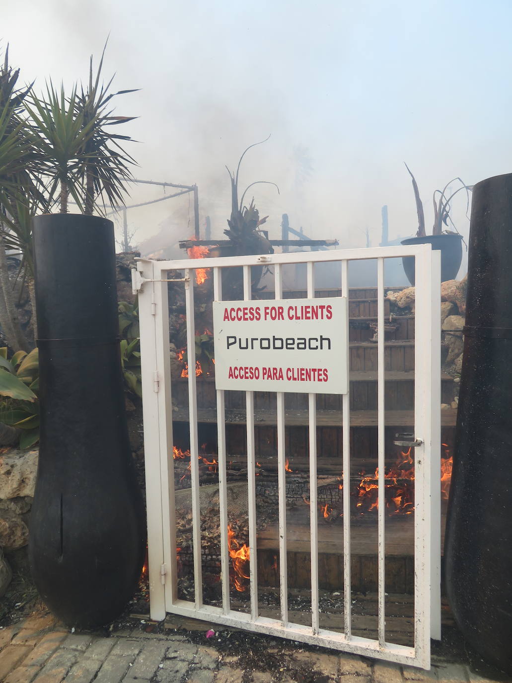 Fotos: Incendio forestal en Estepona