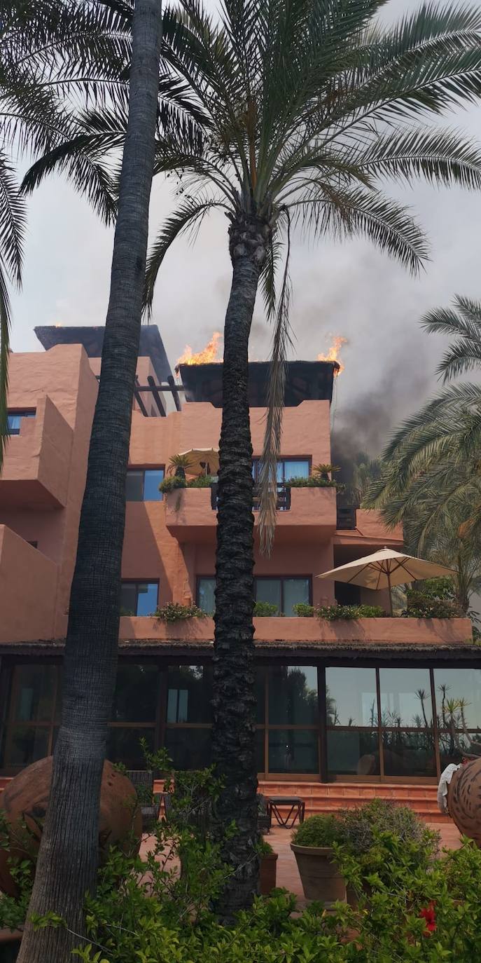 Fotos: Incendio forestal en Estepona