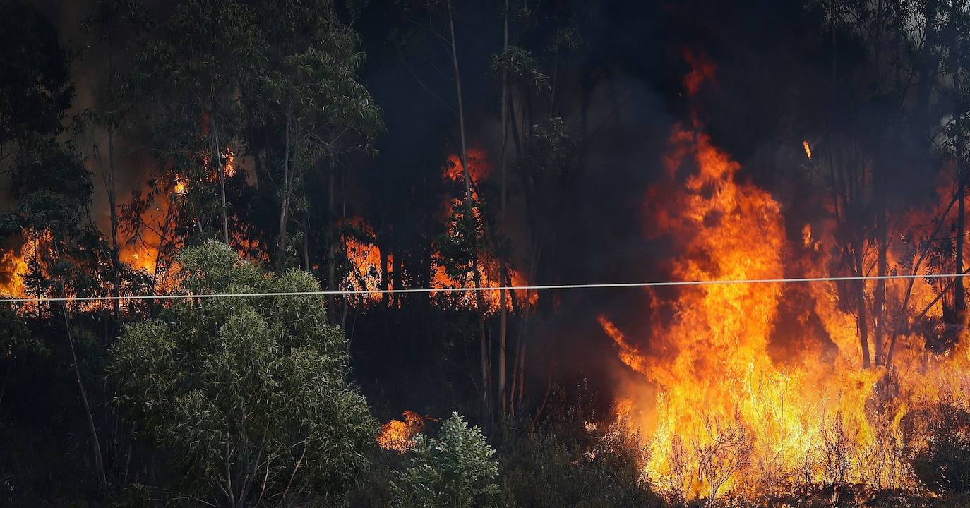 Fotos: Las llamas en Huelva calcinan más diez mil hectáreas