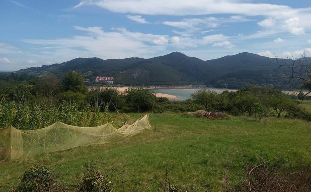 Huertas y vistas a la desembocadora de la ría en Munitiz.