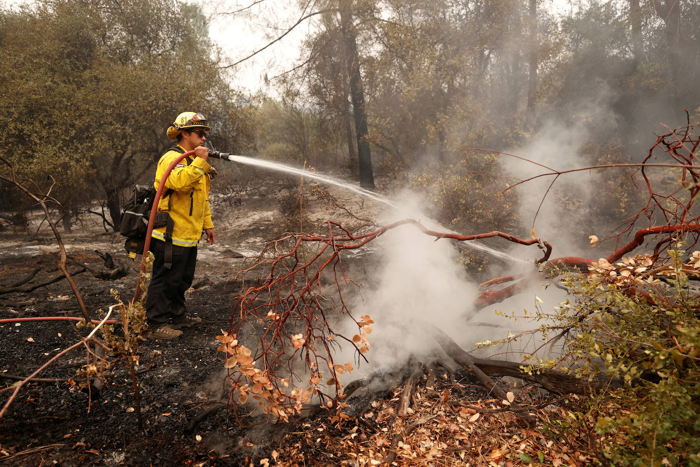 Los estados de California, Oregon y Washington se enfrentan a una serie de fuegos que ya han dejado seis muertos y amenazan con obligar a evacuar a cientos de miles de personas.