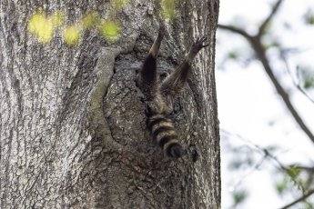 Fotos: Las fotos más simpáticas de animales, a concurso