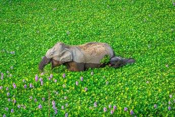 Fotos: Las fotos más simpáticas de animales, a concurso