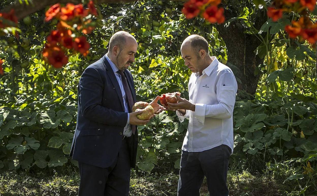 Carlos e Ignacio Echapresto examinan tomates de su huerta.