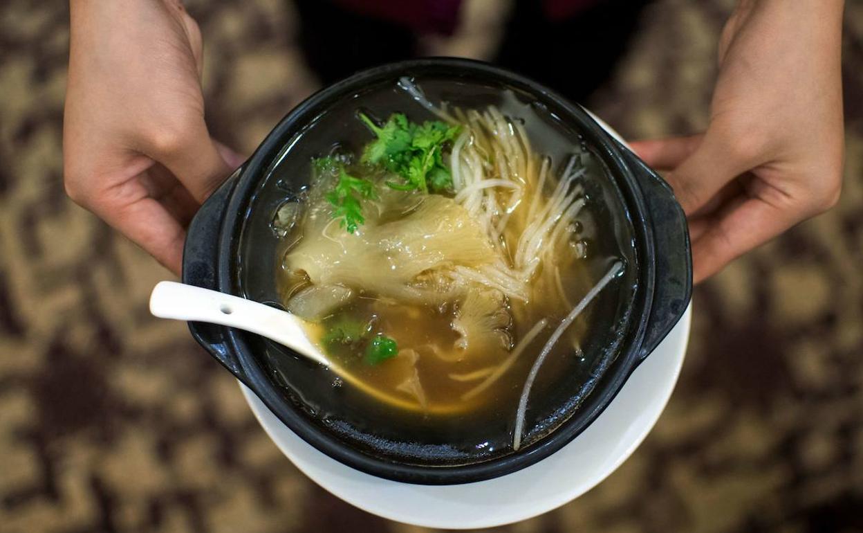 Sopa de aleta de tiburón.