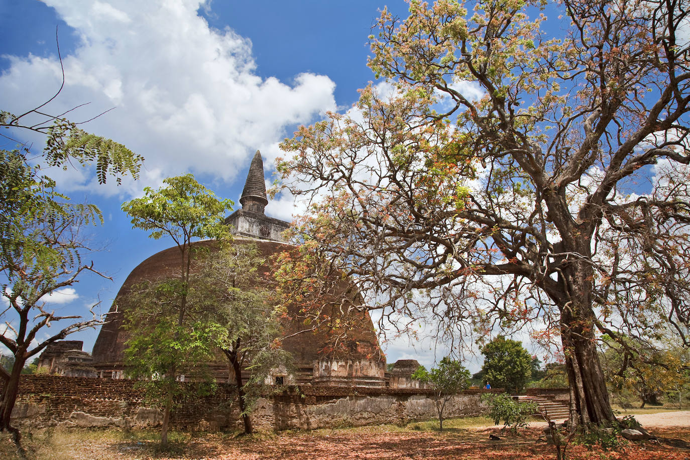 Sri Lanka está llena de lugares únicos que explorar, con paisajes espectaculares y una historia que conquista a cualquier turista. Estas son algunas de sus imágenes más impresionantes. 