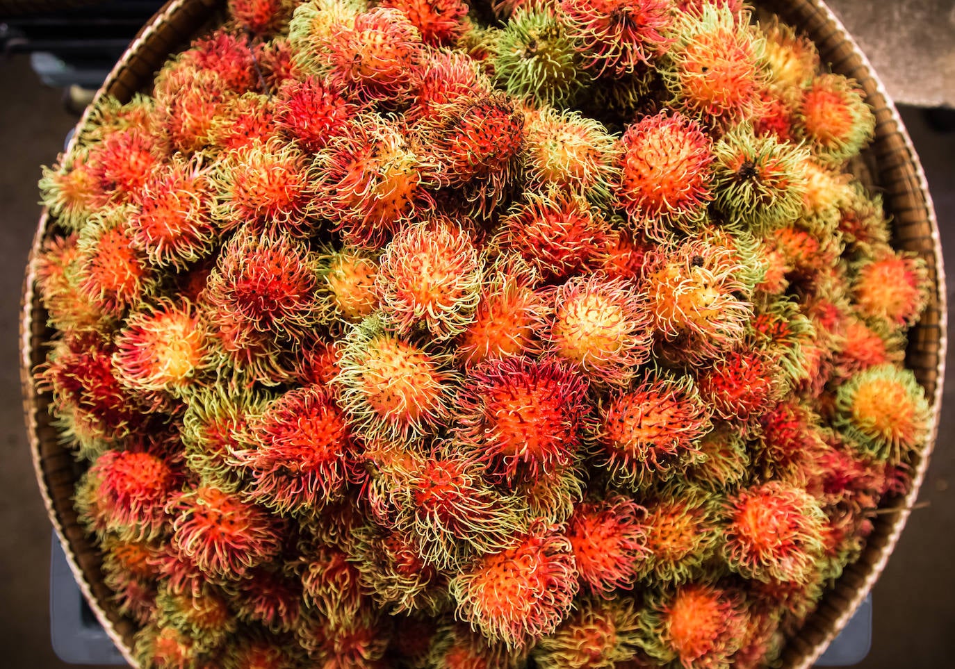 Sri Lanka está llena de lugares únicos que explorar, con paisajes espectaculares y una historia que conquista a cualquier turista. Estas son algunas de sus imágenes más impresionantes. 