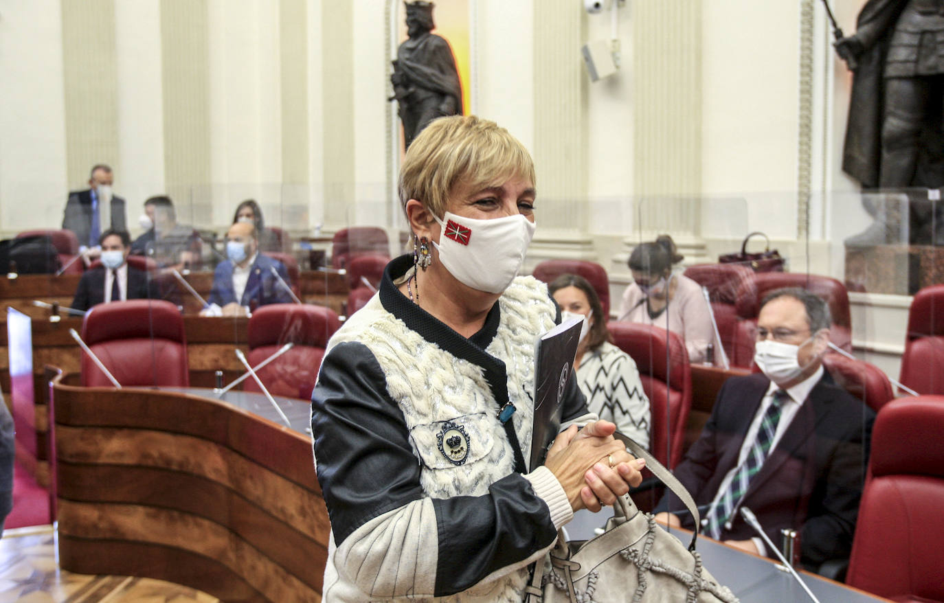 Fotos: Las Juntas Generales de Álava celebran el debate anual de política general